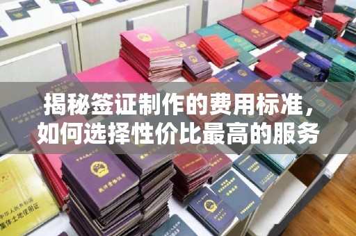 尖石揭秘签证制作的费用标准，如何选择性价比最高的服务？